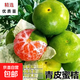 特早熟無(wú)籽青皮蜜桔日南一號嫁接橘子樹(shù)苗南方北方果樹(shù)苗盆栽桔子 青皮蜜桔 4年苗結果苗