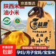 陜西米脂油小米 油小米月子米當季新米米磚小米粥 米脂油小米5斤 精選麻布裝