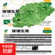玻璃生菜種子脆嫩奶香可生吃四季播種陽(yáng)臺庭院盆栽青菜園蔬菜種籽 玻璃生菜種子1包約1000粒