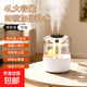 加濕器家用空氣凈化器2026年新款4L大容量四噴香薰一體機女生禮物輕音臥室大容量桌面辦公桌面 簡(jiǎn)約白【升級版】數顯濕度+4L大水箱+四噴補水