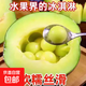 【冰淇淋甜瓜】正宗網(wǎng)紋蜜瓜新鮮水果應季脆甜多汁包郵 網(wǎng)紋瓜帶箱4-5斤（1-2顆裝）