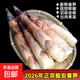 【正宗臨安春筍】2026年新筍現挖鮮嫩冰鮮發(fā)貨雷筍竹筍浙江天目山 小筍1.8斤凈重 7-10根/斤