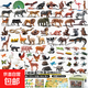 兒童仿真動(dòng)物模型玩具1-3-6歲寶寶認知啟蒙益智動(dòng)物園農場(chǎng)過(guò)家家 80只仿真動(dòng)物+30道具+認知手冊+大地圖-收納盒