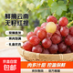 現摘云南新鮮克倫生無(wú)籽提紅提葡萄生鮮提子水果肉多多禮盒 克倫生無(wú)籽提帶箱5斤