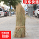 稻草簾草席子包扎干稻草繩樹(shù)木防寒保溫草簾稻草墊稻草節稻草纖維 普通稻草5斤