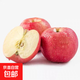陜西渭北黃土高原秦脆蘋(píng)果馬欄紅旬邑蘋(píng)果實(shí)惠款脆甜多汁包郵 4個(gè)裝試吃款  75-80mm凈重約1.4-1.6斤