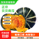 廣西貝貝南瓜板栗口感美味粗糧新鮮蔬菜生鮮買(mǎi)菜單果150g起 貝貝南瓜 2斤 帶箱 凈重1.7斤
