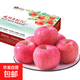 陜西渭北黃土高原秦脆蘋(píng)果馬欄紅旬邑蘋(píng)果實(shí)惠款脆甜多汁包郵 12個(gè)裝實(shí)惠款 75-80mm凈重約4.9-5.1斤