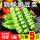 【東東買(mǎi)菜】帶殼鮮豌豆又嫩又面清甜現剝更新鮮顆粒飽滿(mǎn)青豆莢 1斤