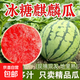 正宗麒麟西瓜超甜廣東薄皮8424冰糖西瓜甜王新鮮水果產(chǎn)地直發(fā) 凈重3-4斤【農家自種 現摘脆甜】