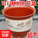 塑料花盆大號特價(jià)清倉仿陶瓷盆果樹(shù)盆防曬透氣種樹(shù)專(zhuān)用盆含托盤(pán) 380【口徑34】1個(gè)盆+1個(gè)托