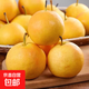 遼寧鞍山南果梨新鮮水果 酸甜口感 沈陽(yáng)發(fā)貨 遼寧特產(chǎn)山野 黃南果梨2斤裝