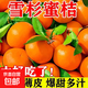愛(ài)心扶農橘子蜜桔大果雪杉蜜橘無(wú)核薄皮新鮮孕婦橘子 9-10斤大果帶箱