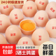 新鮮富硒雞蛋谷物喂養蟲(chóng)草蛋農家鮮雞蛋現撿現發(fā)50g±5g/枚 60枚