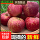 京喜加正宗25年新果云南昭通冰糖心丑蘋(píng)果當季水果現摘脆甜野生富士蘋(píng)果 整箱6斤大果【果徑75-80】推薦裝