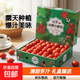 【櫻桃小番茄】廣西爆汁圣女果禮盒裝櫻桃小柿子水果西紅柿露天 帶箱2斤（禮盒裝） 1.7斤 凈重