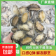 鮑魚(yú)肉 新鮮去殼去內臟速發(fā)鮮活現剝真空包裝冷凍鮮固體物＞75% 帶冰凈重8-10頭/500g*2包