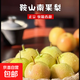東北鞍山南果梨新鮮梨子當季水果特產(chǎn)南果梨水果 兩粒裝