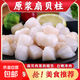 原漿扇貝 新鮮冷凍扇貝柱帶子海鮮貝柱帶子肉即食鮮瑤柱肉瑤貝柱 10包*200g