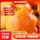 特級鞍山南果梨禮盒包裝新鮮水果酒香南果產(chǎn)地直發(fā) 笨南果梨全黃紙箱裝 帶箱5斤大果約24粒