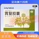 [華魯]胃復膠囊 0.25g*36粒 5盒裝