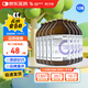 【原研藥】瑞先 腸內(nèi)營養(yǎng)乳劑(TPF) 500ml/盒 12盒裝