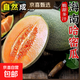 正宗海南哈密瓜 新鮮水果當季脆甜網(wǎng)紋瓜西州蜜香瓜老漢瓜 7-8斤2-3個(gè)瓜
