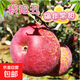 京喜加正宗沂水紅富士丑蘋(píng)果脆爽多汁應季紅富士蘋(píng)果新鮮蘋(píng)果多倉混發(fā) 整箱2斤凈重1.7斤A+級中果【果徑70-75】