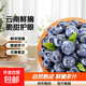 【精品】云南新鮮藍莓當季脆甜孕婦寶寶輔食護眼水果現摘 15-18mm【4盒裝】