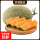 熱帶水果哈密瓜甜瓜產(chǎn)脆甜多汁香甜可口產(chǎn)地直發(fā)沙漠爆甜瓜 4-5斤優(yōu)惠裝（1-2個(gè)裝） 源正達爆甜蜜瓜