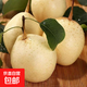 京喜加趙州水晶鴨梨新鮮水果產(chǎn)地直發(fā)【一】單果180g 帶箱2斤鴨梨（凈重1.6-1.8斤）