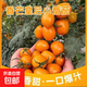 小番茄漳州市泡沫箱裝新鮮迷彩小番茄農家現摘混裝紫彈頭小番茄 香芒皇后小番茄 4.5斤