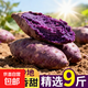 紫薯新鮮板栗紅薯番薯山芋煙薯香薯蔬菜農家自種地瓜蜜薯糖心9斤 帶箱1斤 大果