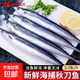 深海秋刀魚(yú) 新鮮海捕船凍鎖鮮無(wú)冰日式料理海鮮燒烤食材 生鮮魚(yú)類(lèi) 海捕秋刀魚(yú)2斤（5-7條/斤）