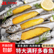 滿(mǎn)籽多春魚(yú) 約25條/斤 大號多籽魚(yú)魚(yú)子海魚(yú)魚(yú)類(lèi)生鮮 燒烤火鍋食材 滿(mǎn)籽多春魚(yú)1斤（約25條/斤）