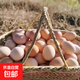 皖南深山鮮雞蛋谷物雞蛋 純糧喂養現撿現發(fā) 生鮮超市 皖南鮮雞蛋50枚2.25kg