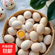 30枚供港可生食品質(zhì) 糧食鮮雞蛋 不含沙門(mén)氏菌 50克/枚 產(chǎn)地直發(fā) 30枚供港可生食裝