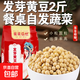發(fā)芽黃豆 生豆芽專(zhuān)用小黃豆家庭水培蔬菜發(fā)芽率高豆苗菜 發(fā)芽黃豆【2斤】