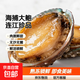 鮮凍大鮑魚(yú)海捕大號鮑魚(yú)火鍋燒烤貝類(lèi)海鮮生鮮食材特大鮑魚(yú) 2斤 7-9頭