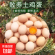 谷飼慢養農家新鮮雞蛋柴雞蛋鮮雞蛋 生鮮京東超市 五谷鮮雞蛋50g*30枚