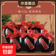 孔府宴酒80年代 經(jīng)典系列山東名酒 濃香型純糧食白酒禮盒春節送禮 52度 500mL 6瓶 孔府宴酒 80年代【整箱】