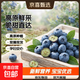 云南高原新鮮藍莓當季藍莓脆甜現摘現發(fā)孕婦寶寶新鮮水果 藍莓小果單果12mm+ 高原藍莓嘗鮮限量125g*1盒裝