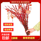 銀柳真花鮮枝干花擺件室內客廳鮮花綠植新年年宵花卉植物過(guò)年春節 60厘米【10支】送掛件