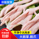 活殺速凍特大鵝掌農家散養新鮮超大鵝爪大號鵝腳鵝肉生鮮食材包郵 原切大號鵝爪1斤/袋(約6-7個(gè)) 1斤大號鵝爪