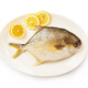 品鮮貓 海南冷凍金鯧魚(yú) 400-500g 1條 袋裝海鮮