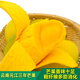 正鮮森順豐新鮮云南元江三年芒 老品種芒果 又香又甜 中大果 中大果8斤裝(4kg）彩箱