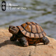 大傅 仿真動(dòng)物烏龜擺件長(cháng)壽龜 別墅花園裝飾品庭院池塘擺設樹(shù)脂雕塑 中號烏龜擺件