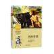成長(zhǎng)文庫(kù) 世界少年文學(xué)精選 青少版：叢林奇談
