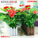 木柵欄仿真花套裝仿真綠植紅掌假花客廳裝飾假植物落地窗臺盆栽隔斷擺設 100厘米矮款紅掌備注顏色