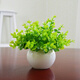 樹顏假花擺件塑料花含花瓶干花花束仿真植物盆景絹花客廳陽臺餐桌裝飾 1號米蘭+白瓷盆